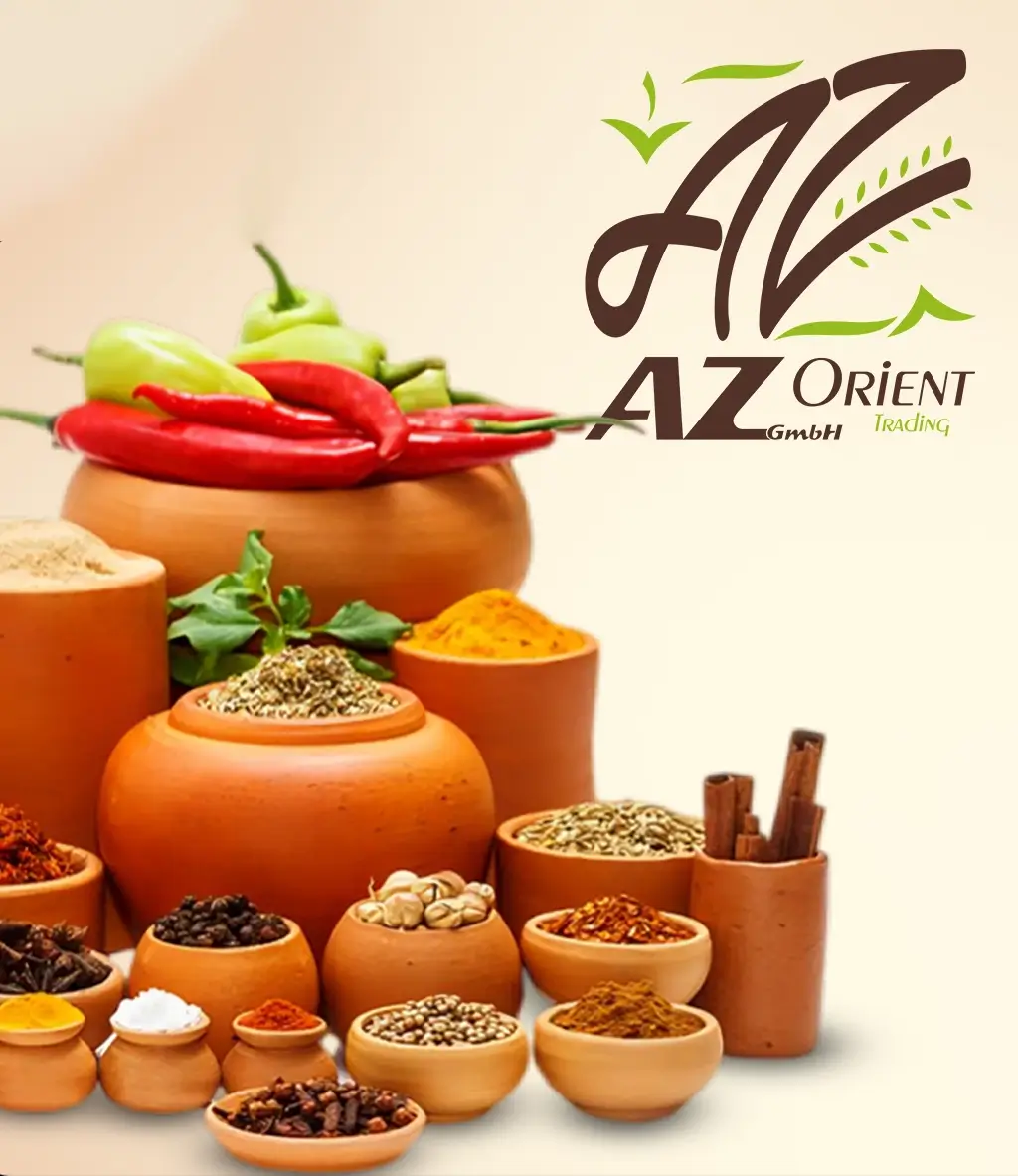 Orient Trading AZ GmbH